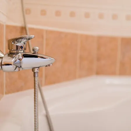 Vergissmeinnicht * زيل أم سي