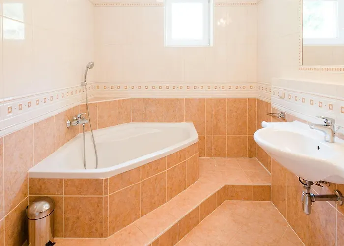 Alpstuga Vergissmeinnicht