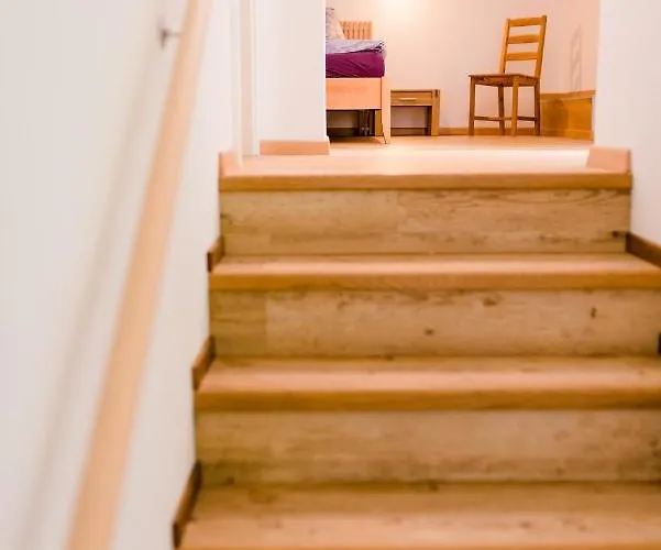 Alpstuga Vergissmeinnicht