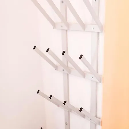 Vergissmeinnicht 滨湖采尔