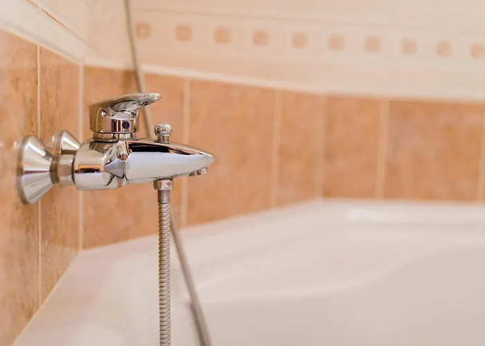 Vergissmeinnicht * Zell am See